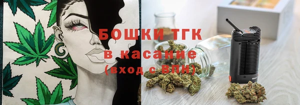 мдпв Туринск