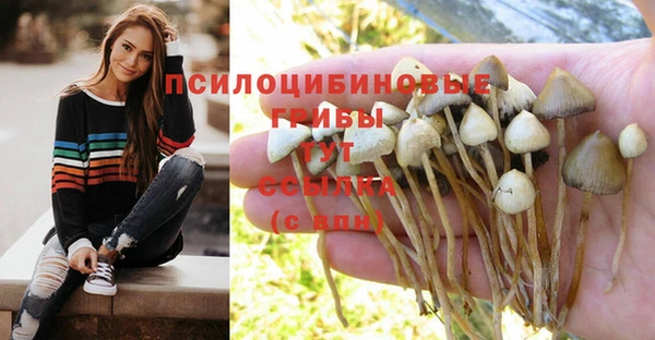 сатива Майский