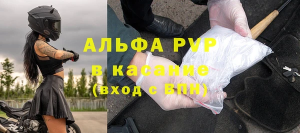 a pvp Магас