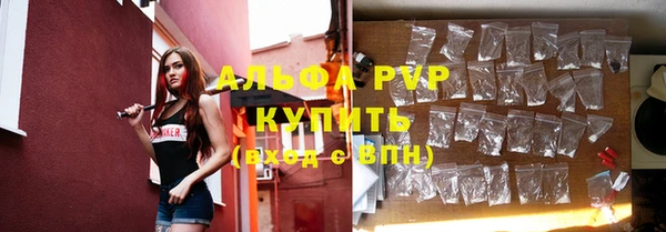 a pvp Магас