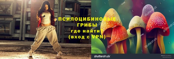 хмурый Яровое