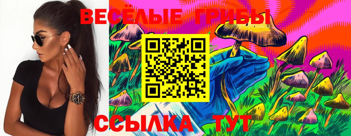 Псилоцибиновые грибы Psilocybine cubensis Железноводск