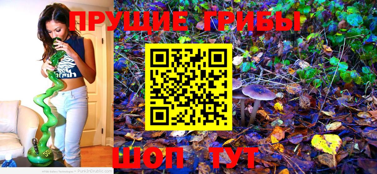 как найти   Железноводск  Галлюциногенные грибы прущие грибы  Псилоцибиновые грибы MAGIC MUSHROOMS 