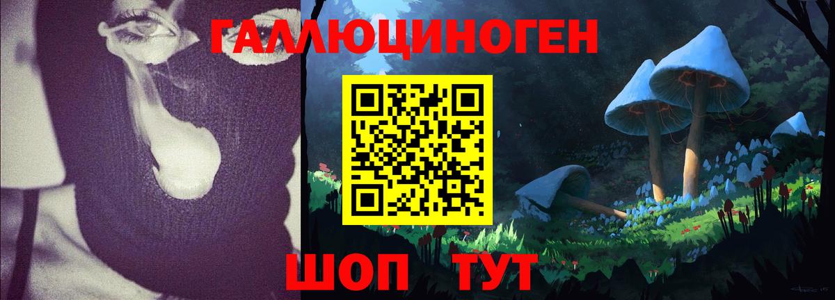 Галлюциногенные грибы MAGIC MUSHROOMS Железноводск